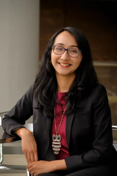 Photo of Vinita S. Gandhi, Defendant Lawyer