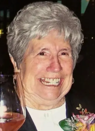 Photo of Jean Domenigoni, Defendant Lawyer